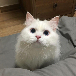 男人舔女人下面视频
